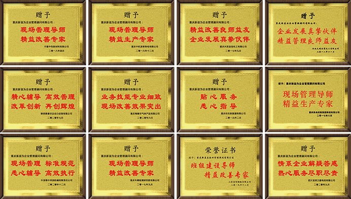 6S咨詢